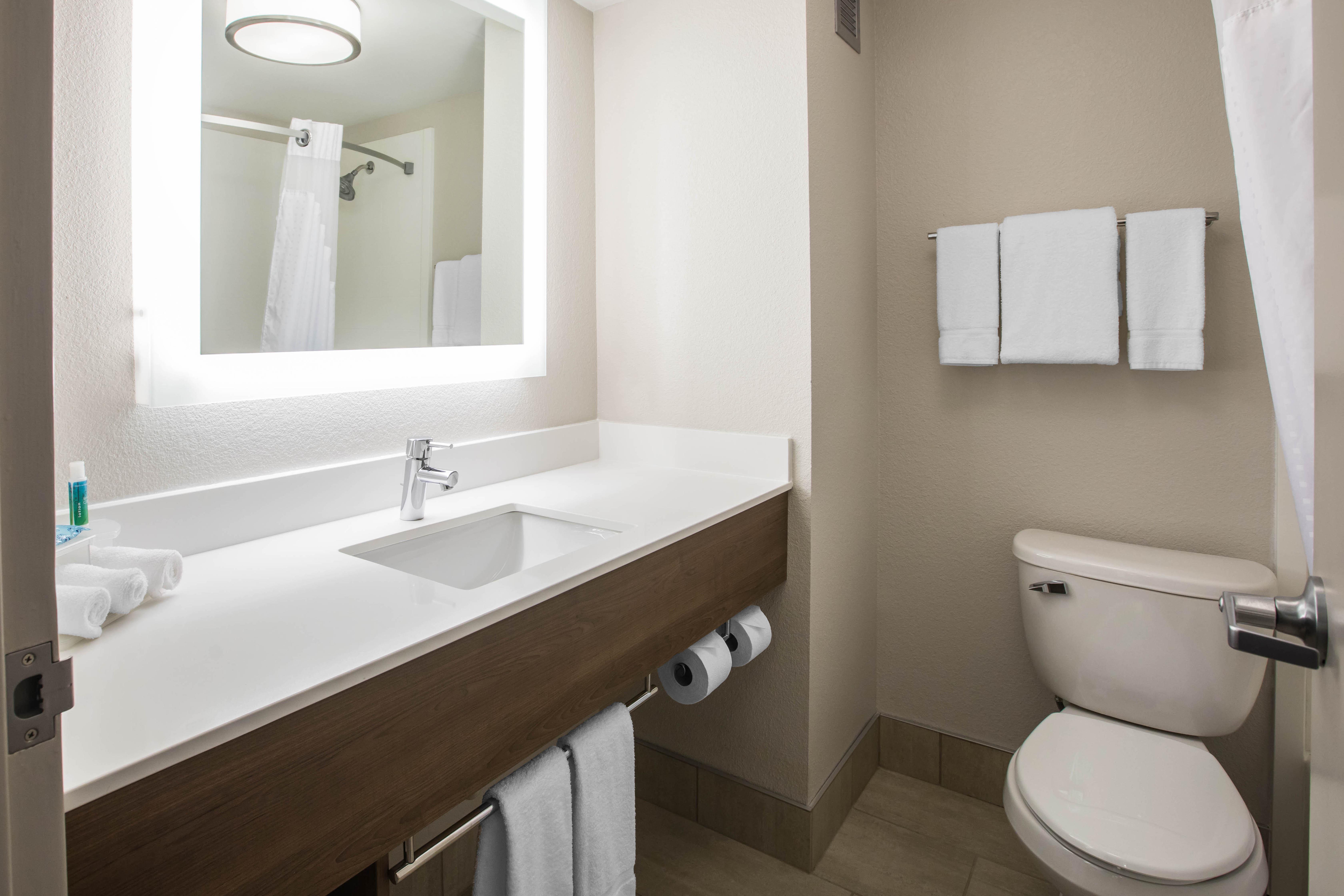 Holiday Inn Express & Suites Ludington By Ihg Eksteriør billede