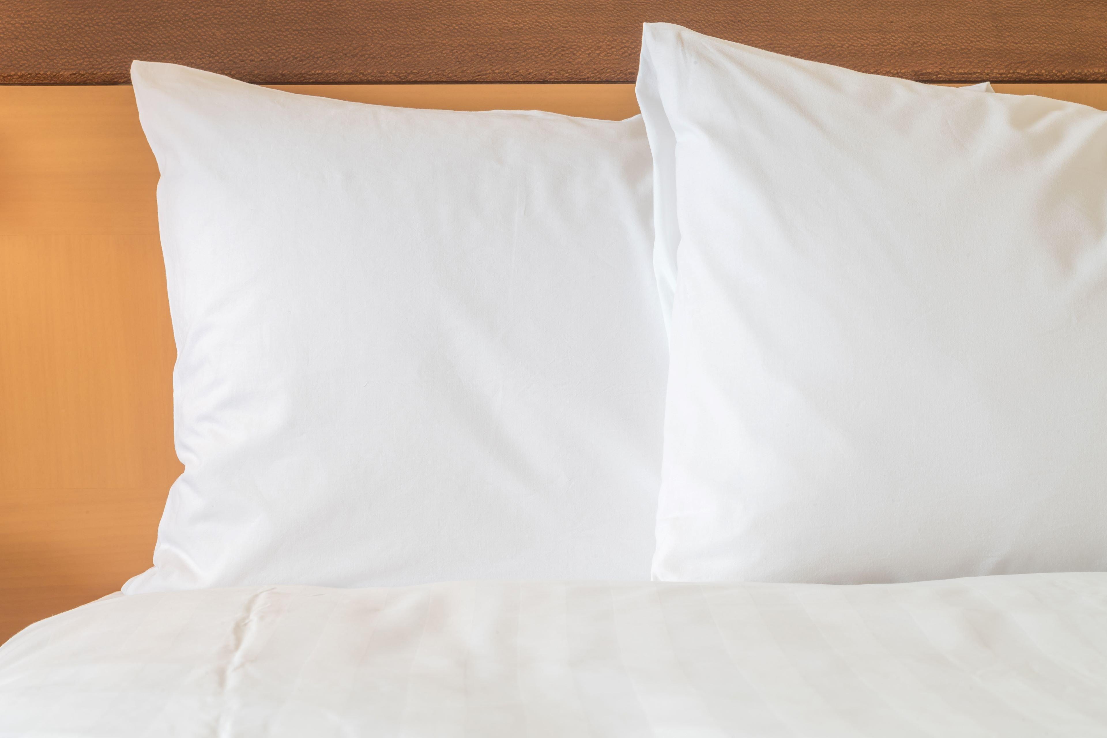 Holiday Inn Express & Suites Ludington By Ihg Eksteriør billede